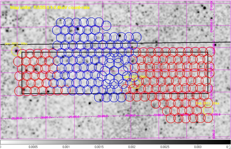 XMM Observations