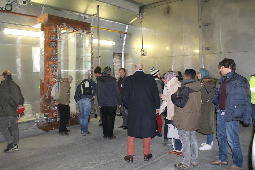 Searching for rare decays: molybdenum-based crystals being tested at the Modane Underground Laboratory