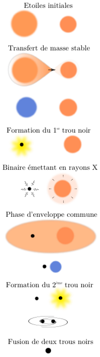 Enveloppe et fusion d’étoiles