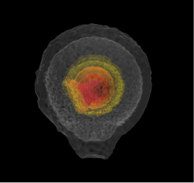 Hyperfast white dwarfs and stellar explosions