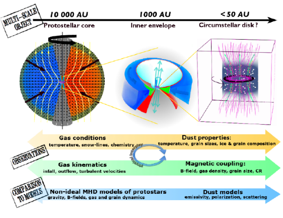 Anaëlle Maury receives an ERC Advanced grant for her project PEBBLES