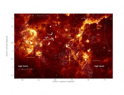 Surprenante population d'étoiles jeunes et massives dans la région du Cygne