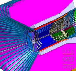 The Micromegas detector is cultivating its garden in a magnetic field