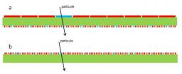 Le multiplexage génétique, ou comment lire plus avec moins