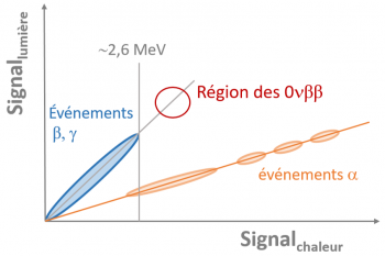 CUPID cherche cristal pour désintégration sans neutrino