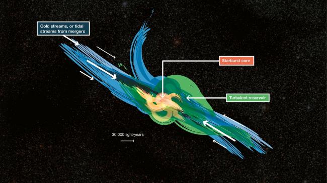 Indirect detection of cold gas around distant galaxies in formation.