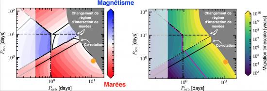 Le destin des exoplanètes en orbite proche 