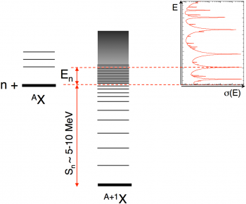 Study of neutron-induced reactions