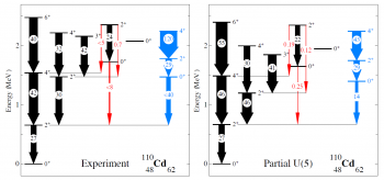 Confirmation du caractère vibrationnel du cadmium-110