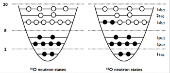 How to describe nuclear properties ab initio at a low computational cost?