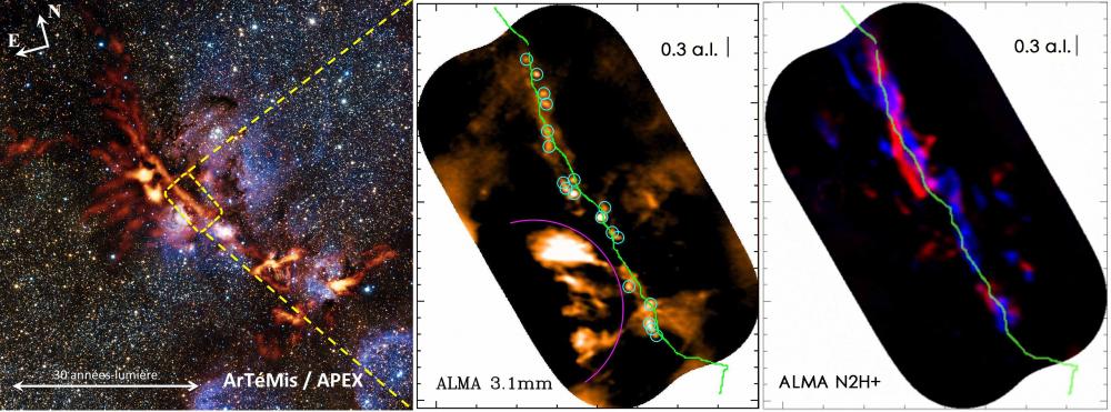 Nouveaux indices sur l’origine de la masse des étoiles