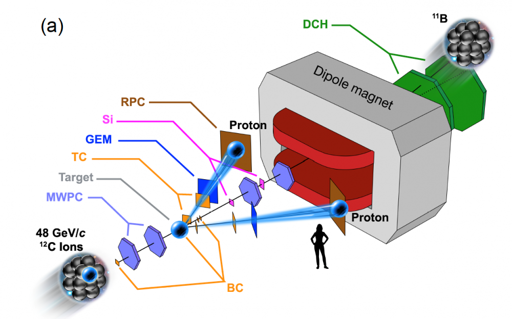 A glimpse of nuclear couple through transparent nuclei