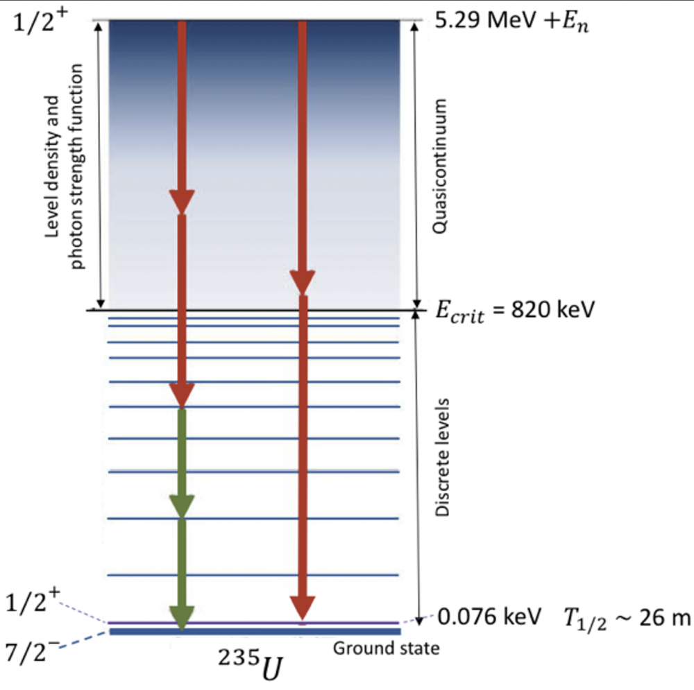 Study of neutron capture gammas from uranium isotopes