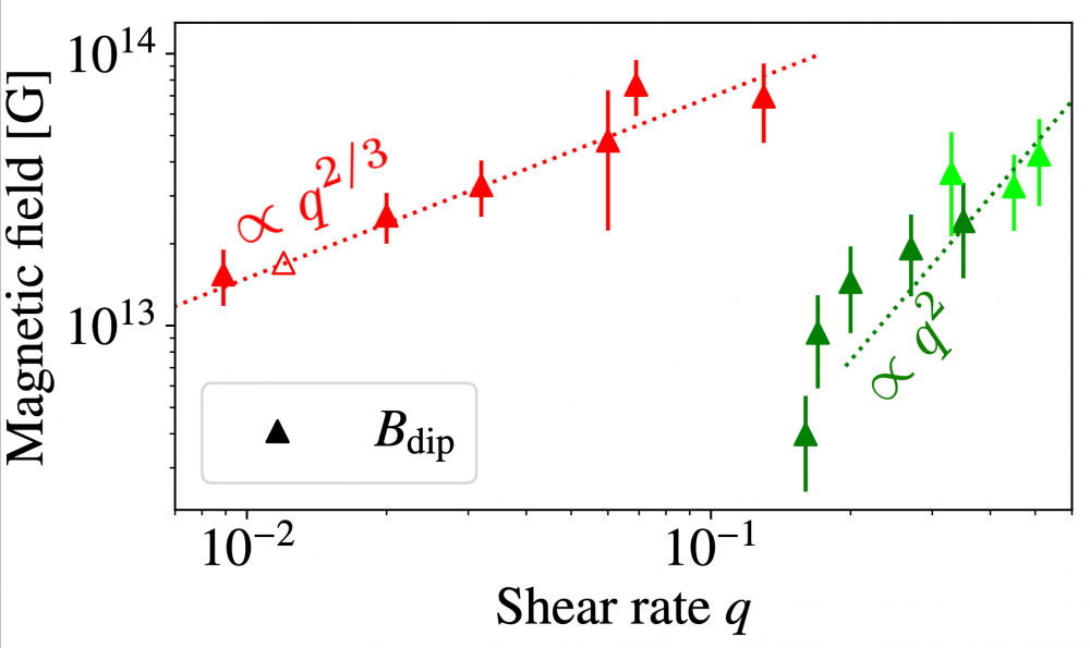 First numerical simulations of a new magnetar-forming mechanism