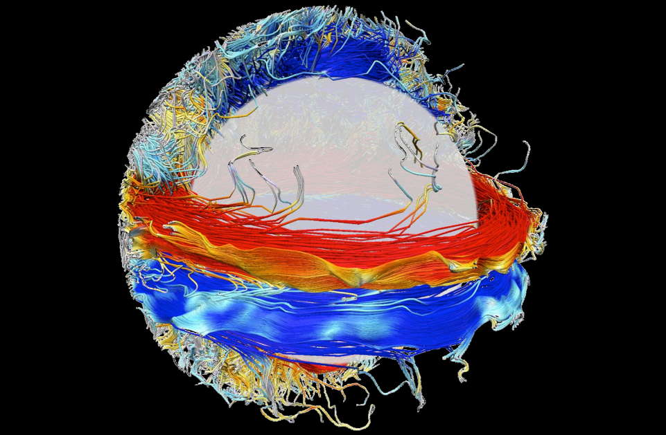 Wreaths of strong magnetic field in a global-scale 3D cycling dynamo simulation.