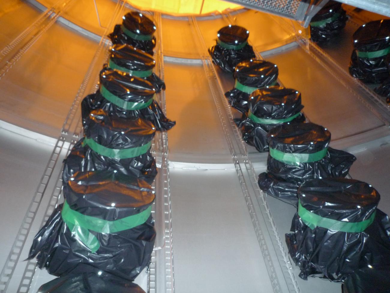 Installation des tubes photomultiplicateurs de l'expérience Double Chooz