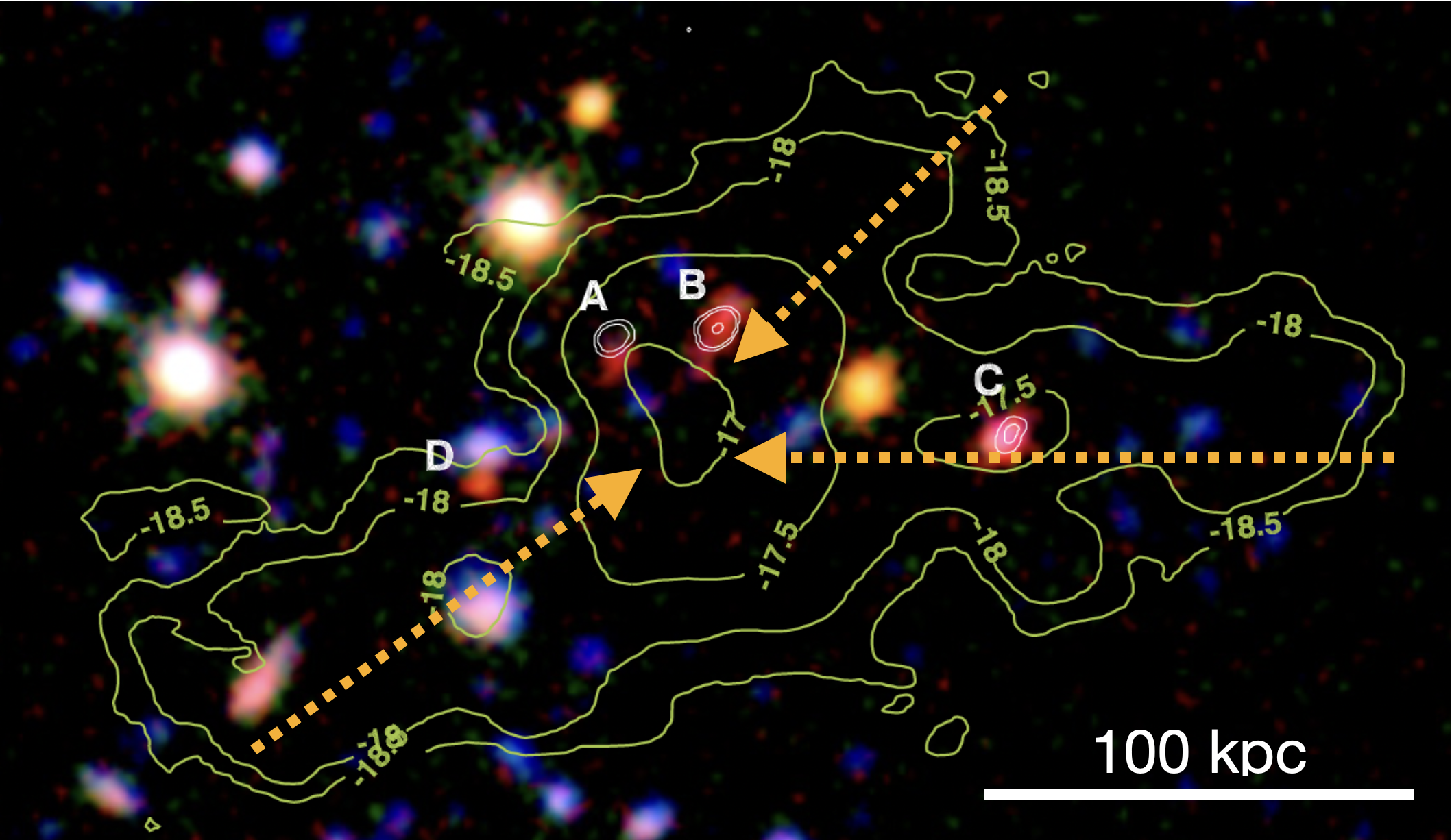 NICE: Dévoiler la physique de formation des amas de galaxies à grands redshifts avec NOEMA
