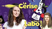 Podcast - Sommes-nous seuls dans l’Univers ? E07 La Cerise dans le Labo !