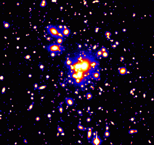 Formation stellaire enfouie dans l'amas de galaxies Abell 1689