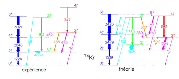 The hidden shapes of atomic nuclei