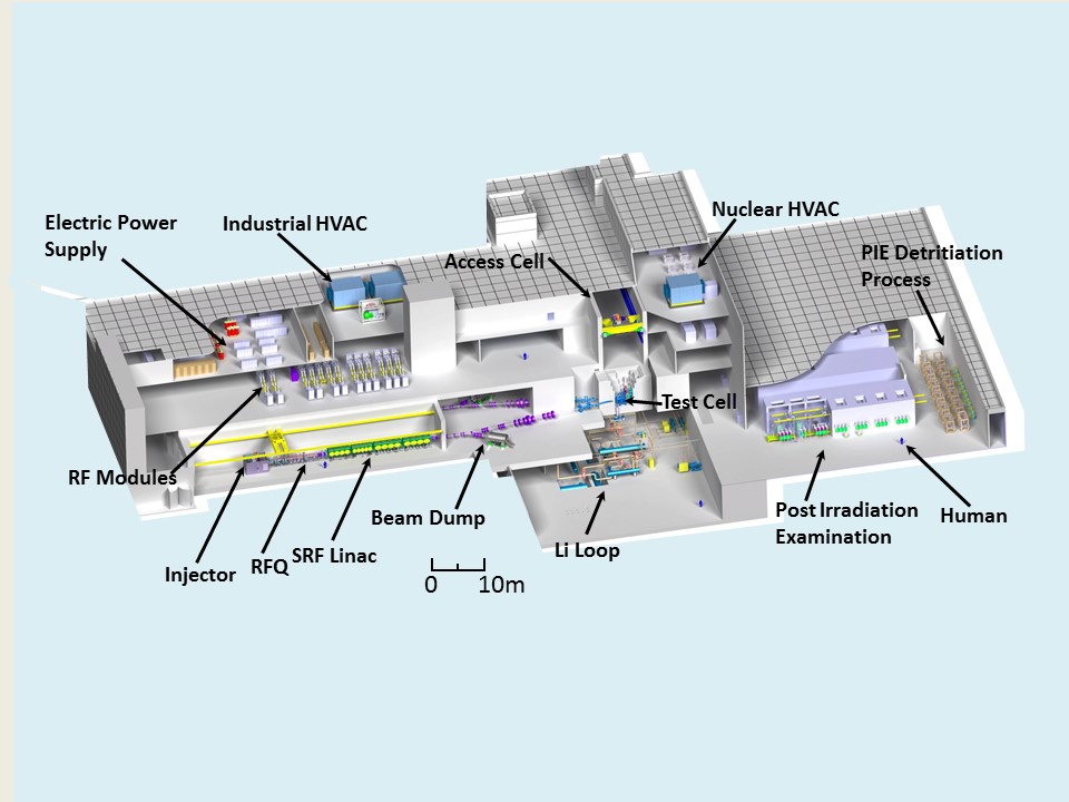 IFMIF (INTERNATIONAL FUSION MATERIALS IRRADIATION FACILITY)