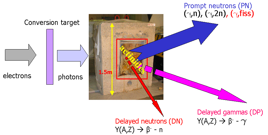 Nuclear modelling