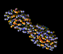 L'exploration du processus de fission prend un nouvel essor au GANIL