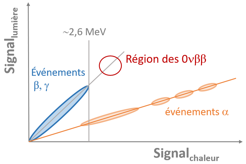 BINGO : une R&D de pointe pour déterminer la vraie nature des neutrinos