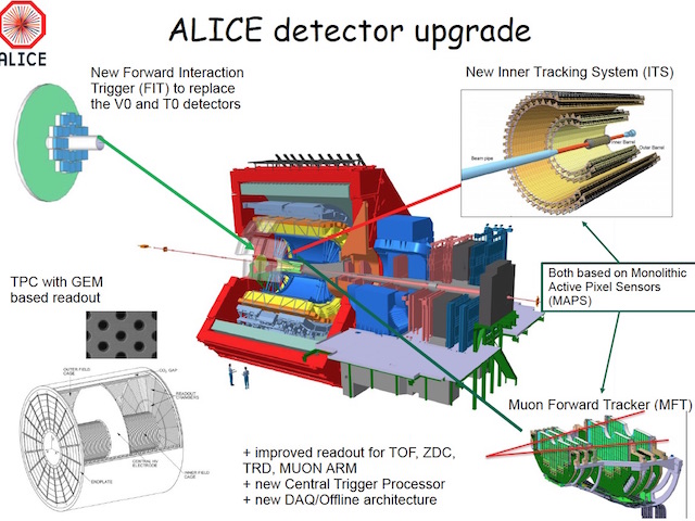 Chips on a ladder: end of production for ALICE-MFT