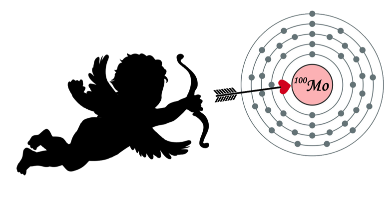 A new world leading limit for 0νββ decay set by the CUPID-Mo experiment to determine the nature of the neutrino