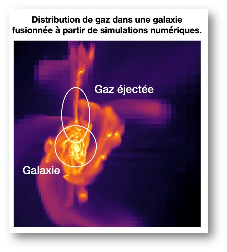 A la recherche du mécanisme expliquant la mort des galaxies massives