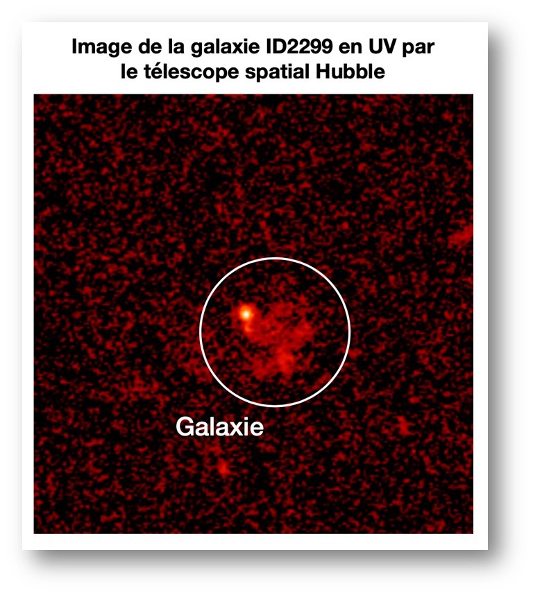 In pursuit of the mechanism explaining the death of massive galaxies