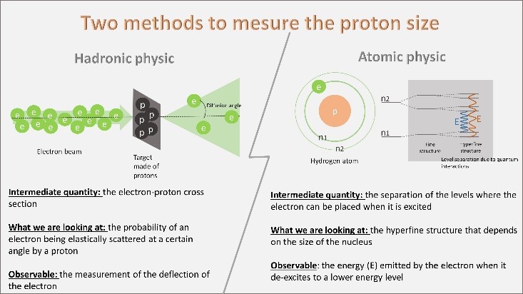 Which ruler to measure the size of the proton?