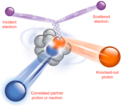A glimpse of nuclear couple through transparent nuclei