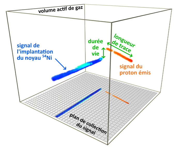 Visualisation 4D d’une radioactivité proton avec ACTAR TPC