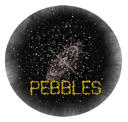 Anaëlle Maury receives an ERC Advanced grant for her project PEBBLES