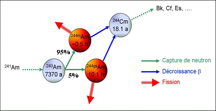 Cet éphémère état qui complique l'incinération de l'américium