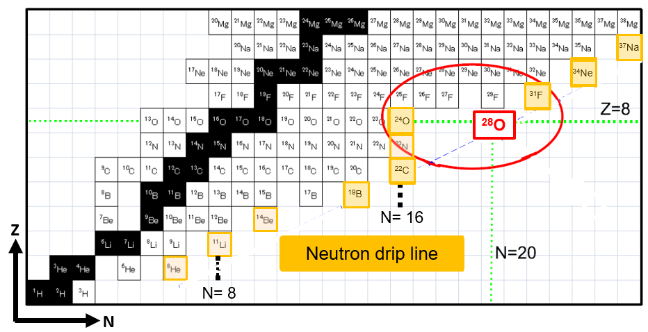 Observation du noyau instable d'oxygène 28