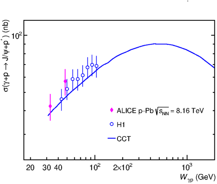 Observer les fluctuations des gluons dans le proton au LHC 