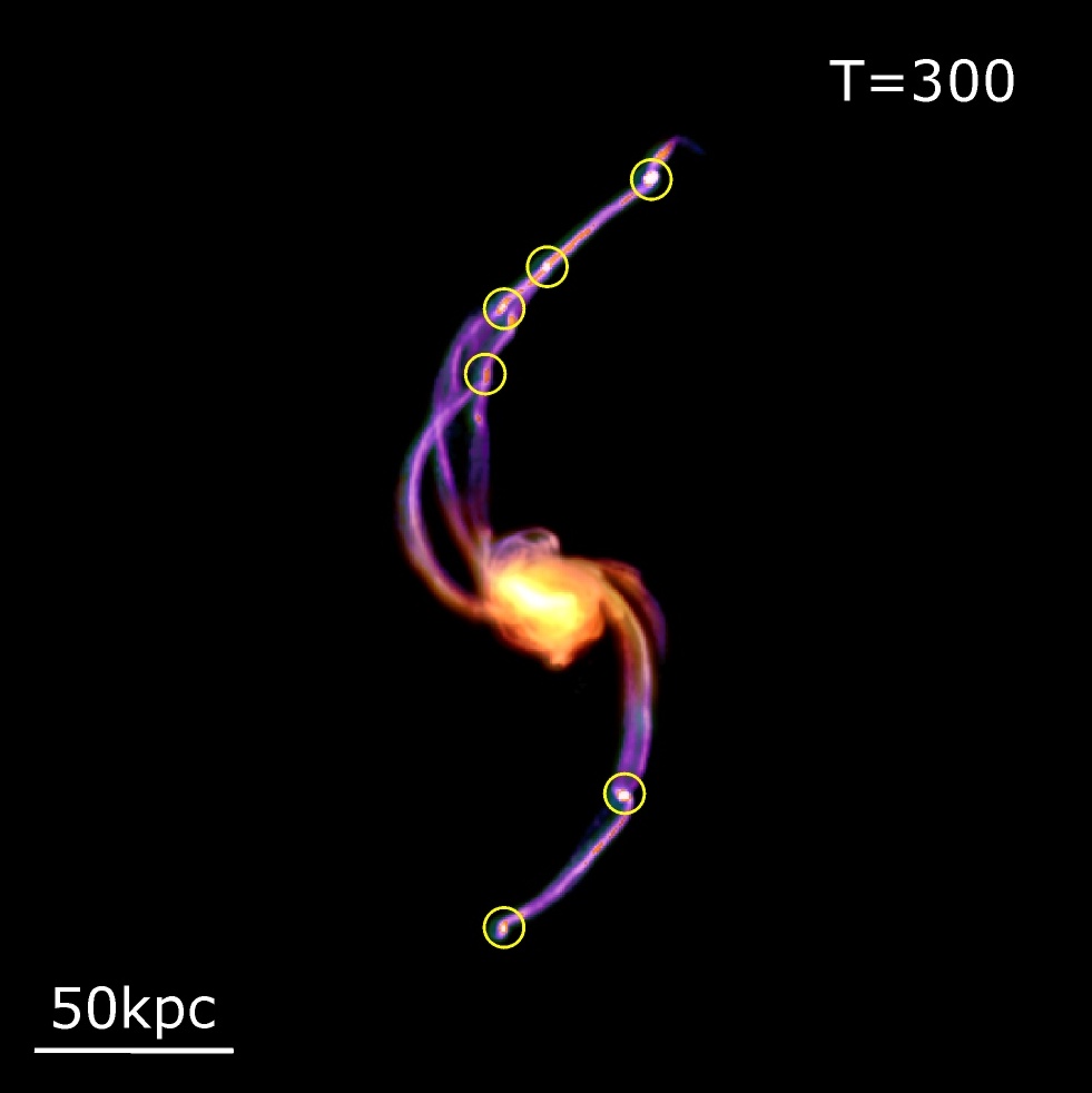 D'où viennent les galaxies satellites ?