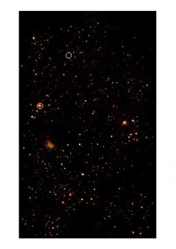 L'Univers profond sondé par le satellite XMM-Newton