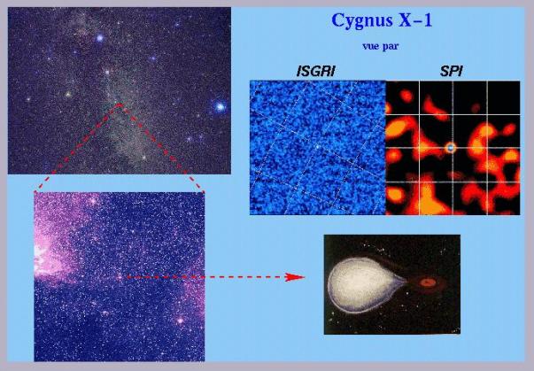 Cygnus X-1, première source astrophysique observée par INTEGRAL