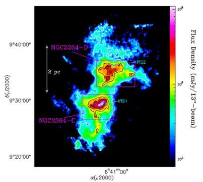 Les premiers stades de la formation stellaire en amas 