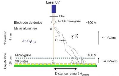 Le détecteur Micromegas cultive son jardin dans un champ magnétique