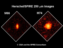 Herschel se prépare à une moisson de galaxies infrarouges