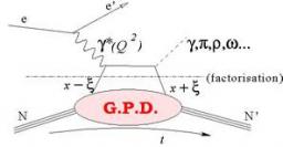 Les distributions de partons généralisées (GPD)