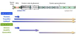 Valorisation de logiciels pour le transport de faisceau