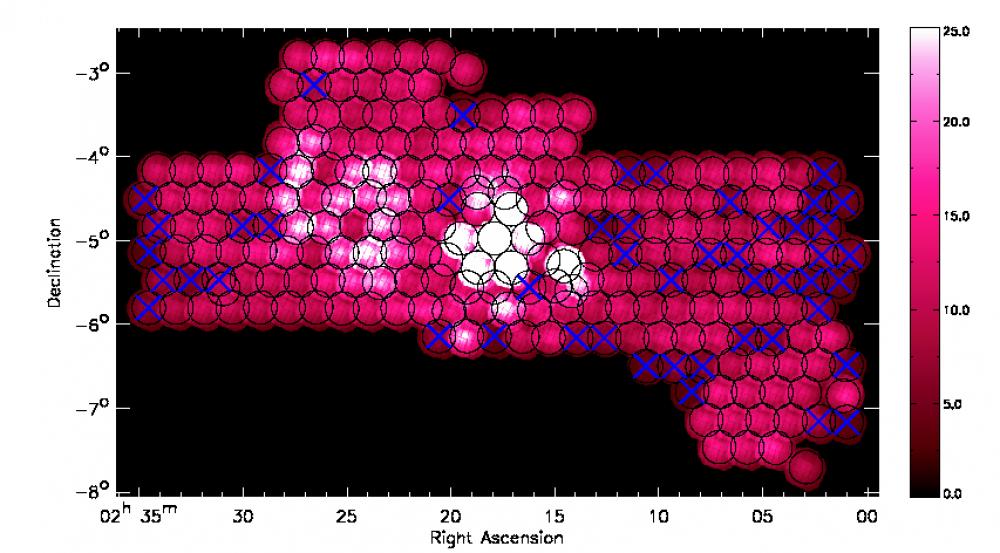 XMM Observations