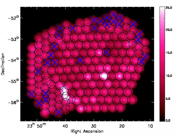 XMM Observations