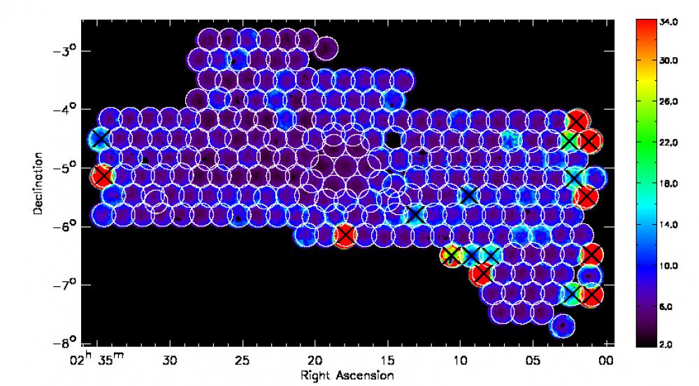 XMM Observations